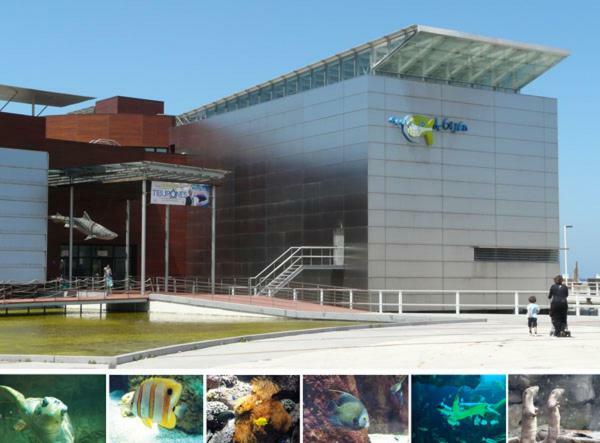 Primera Línea Playa+Parking Gratis Gijón Exterior foto